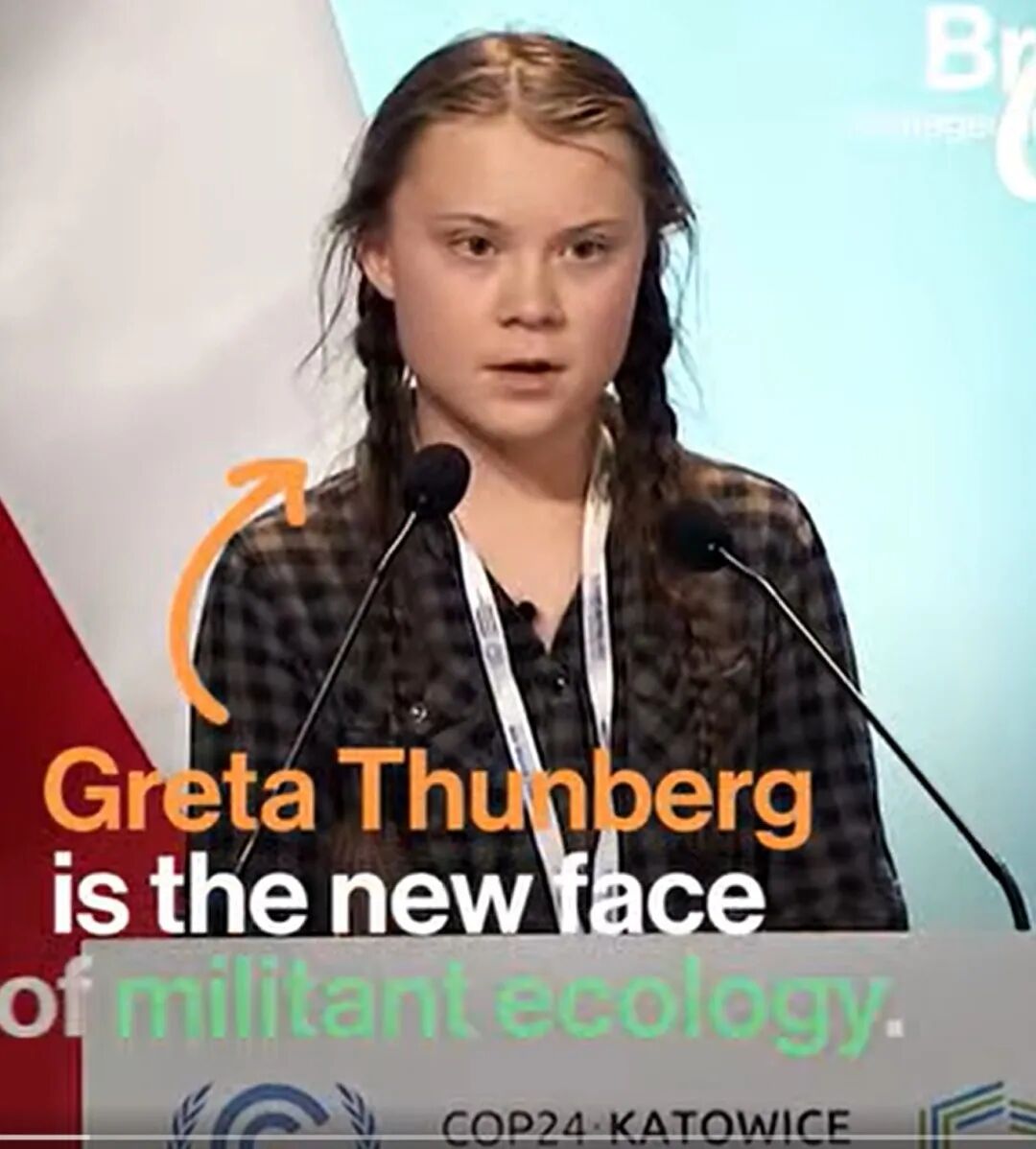 2018 年，15 歲的通貝里在 COP24 卡托維茲全會場發言