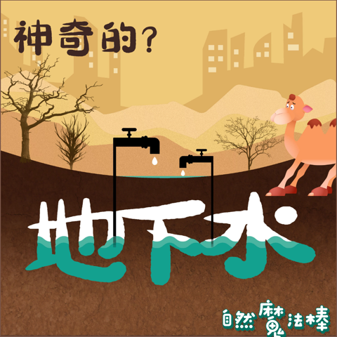 神奇的地下水