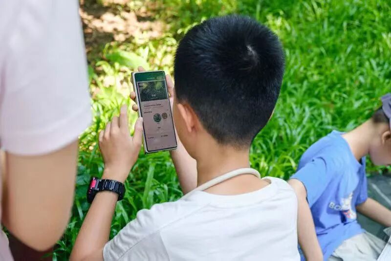 Youth biodiversity action case submission